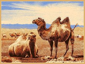 Шерстяной пейзажный ковер Erdenet из Монголии Hunnu 6S873 82 верблюды